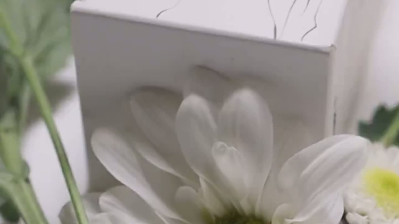 Productos Ámate Hair Care entre flores